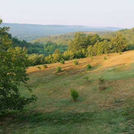 Bolara 60: The Cottage Grožnjan Екстериор снимка